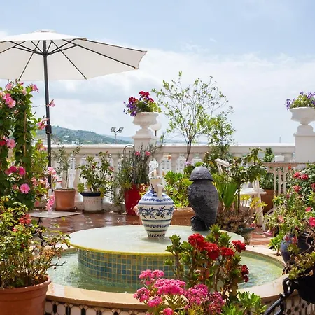 Hidalgo مارتوس